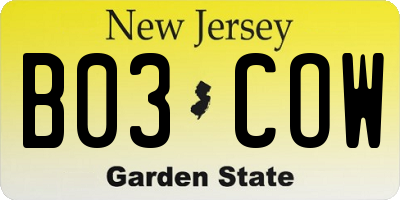NJ license plate B03COW