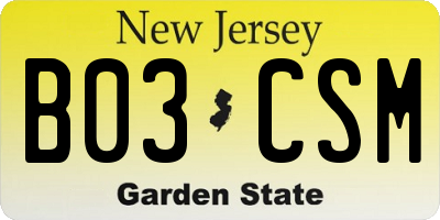 NJ license plate B03CSM