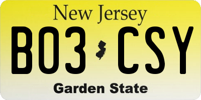 NJ license plate B03CSY