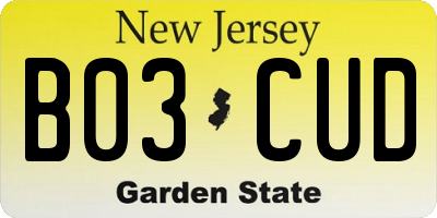 NJ license plate B03CUD