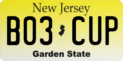 NJ license plate B03CUP