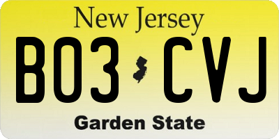 NJ license plate B03CVJ