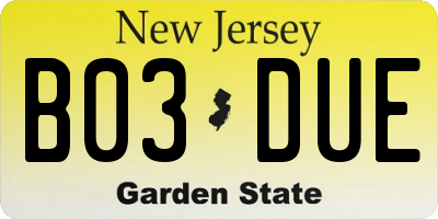 NJ license plate B03DUE