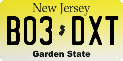 NJ license plate B03DXT