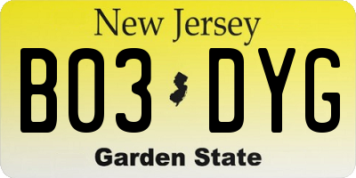 NJ license plate B03DYG