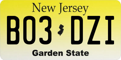 NJ license plate B03DZI