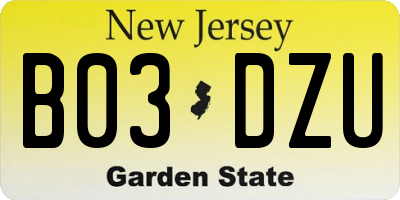 NJ license plate B03DZU