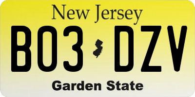 NJ license plate B03DZV