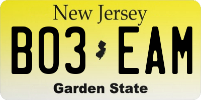 NJ license plate B03EAM
