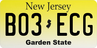 NJ license plate B03ECG