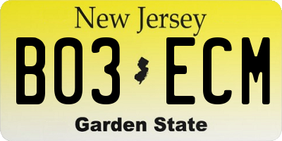 NJ license plate B03ECM
