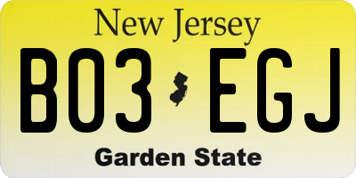 NJ license plate B03EGJ