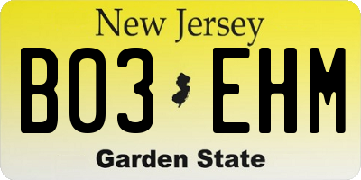 NJ license plate B03EHM