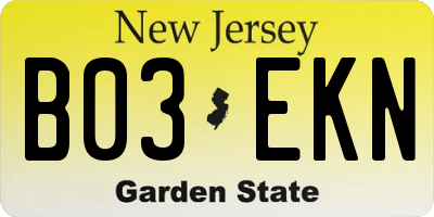 NJ license plate B03EKN