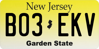 NJ license plate B03EKV