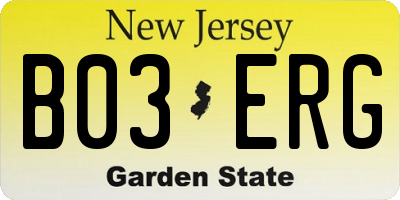 NJ license plate B03ERG