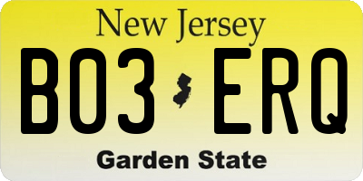 NJ license plate B03ERQ