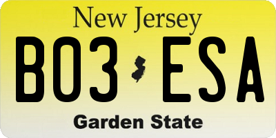 NJ license plate B03ESA