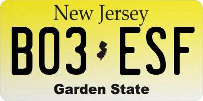 NJ license plate B03ESF