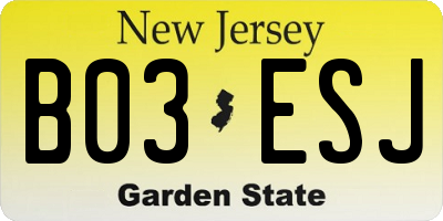 NJ license plate B03ESJ