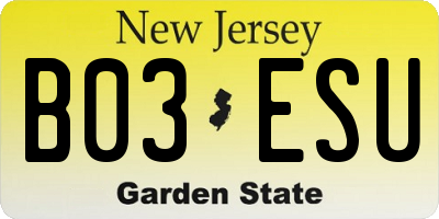NJ license plate B03ESU