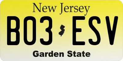 NJ license plate B03ESV