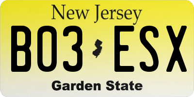NJ license plate B03ESX
