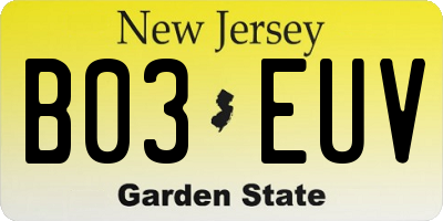 NJ license plate B03EUV