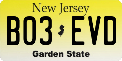 NJ license plate B03EVD