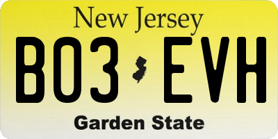 NJ license plate B03EVH
