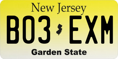 NJ license plate B03EXM