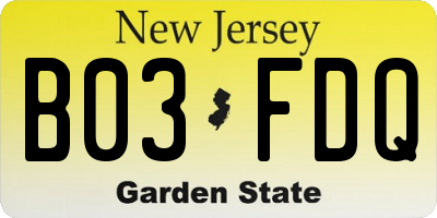 NJ license plate B03FDQ