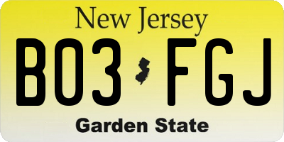 NJ license plate B03FGJ