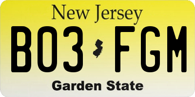 NJ license plate B03FGM