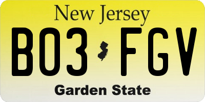NJ license plate B03FGV