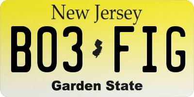 NJ license plate B03FIG