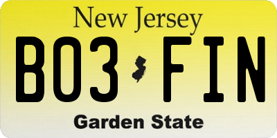 NJ license plate B03FIN