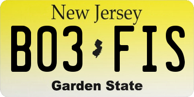 NJ license plate B03FIS