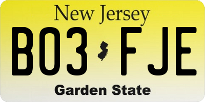NJ license plate B03FJE