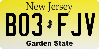 NJ license plate B03FJV