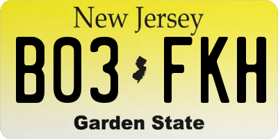 NJ license plate B03FKH