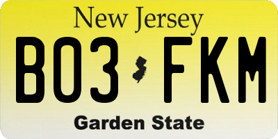 NJ license plate B03FKM