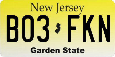 NJ license plate B03FKN