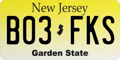 NJ license plate B03FKS