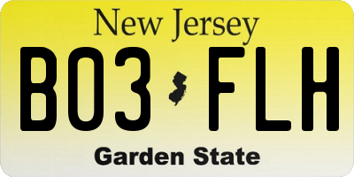 NJ license plate B03FLH