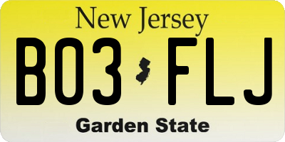 NJ license plate B03FLJ