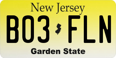 NJ license plate B03FLN