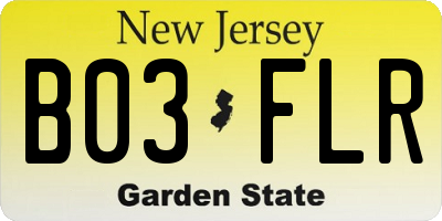 NJ license plate B03FLR