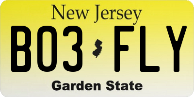NJ license plate B03FLY