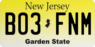 NJ license plate B03FNM